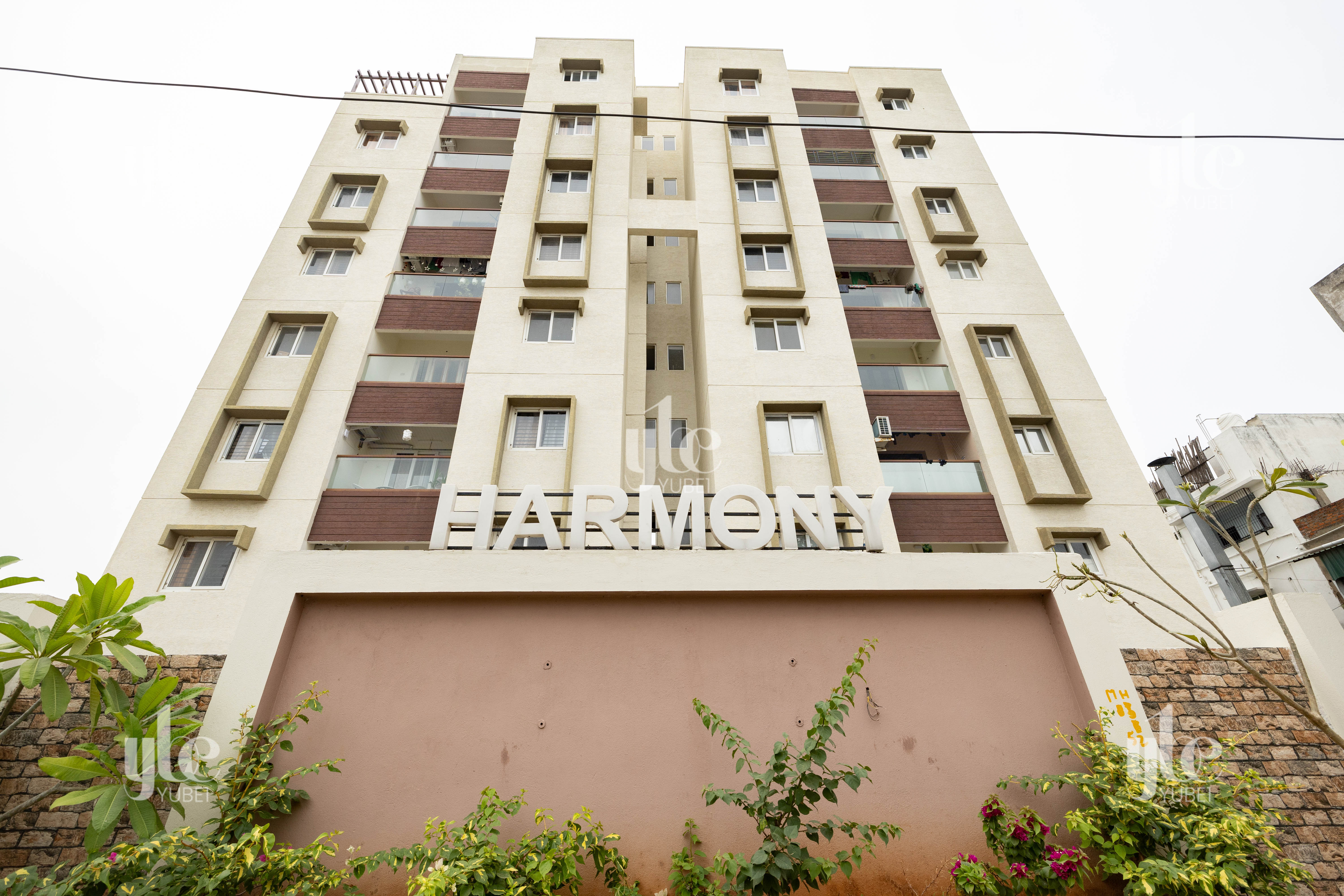 Yube1 Vintage League